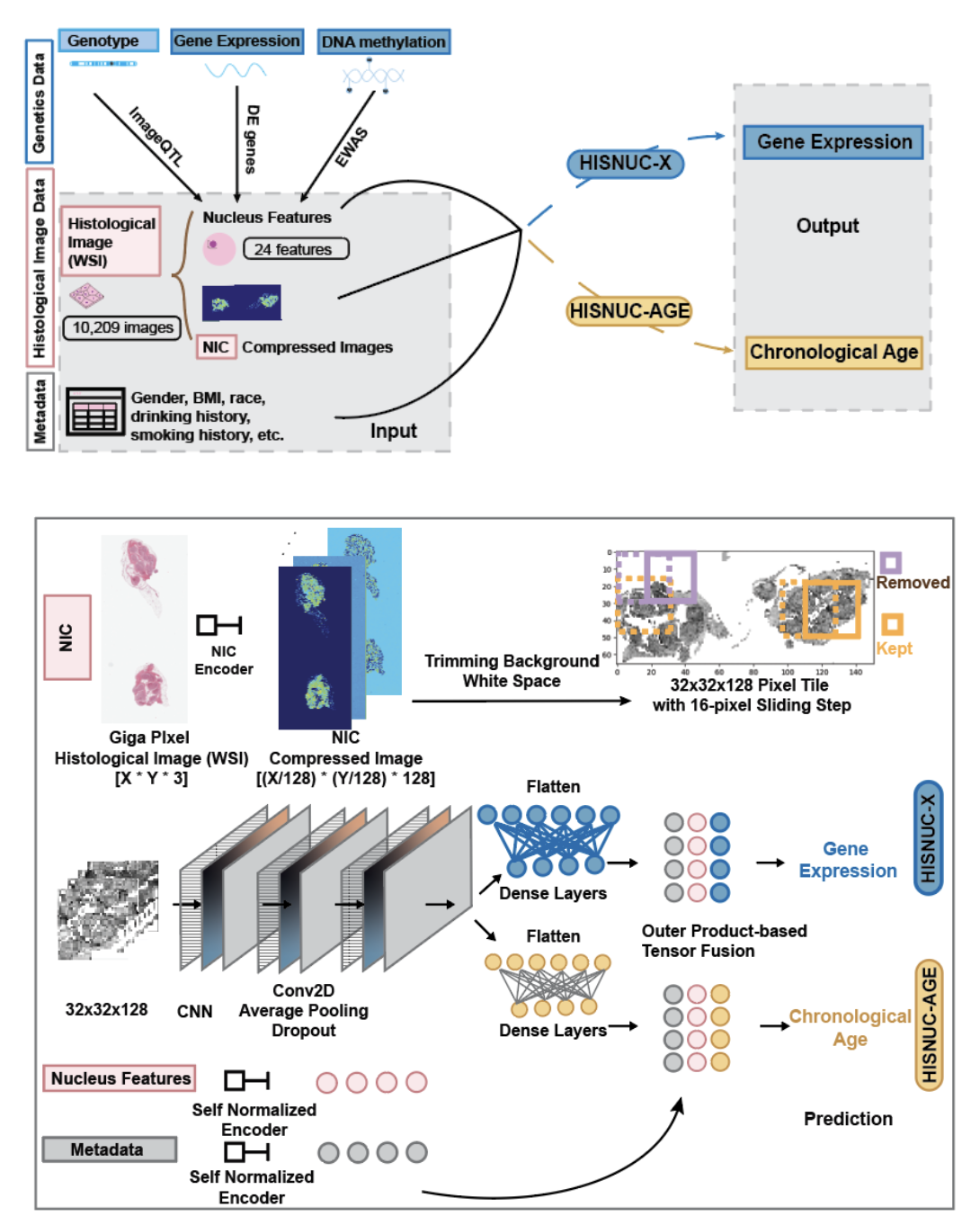 HISNUC framework, PNAS 2025